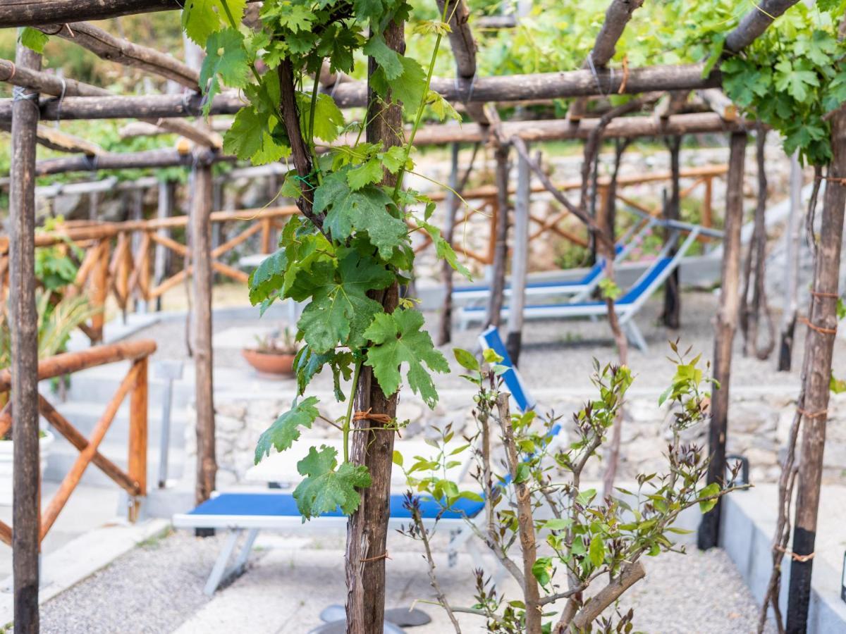 Albergo Diffuso Bacco Furore Dış mekan fotoğraf